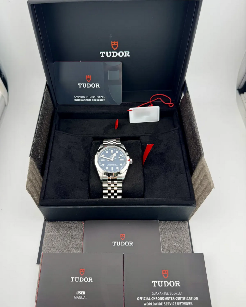 Tudor Black Bay 79660